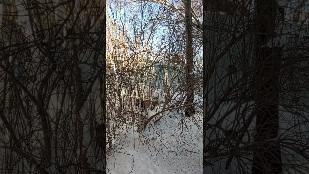 5 февраля 2026 г.