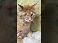 Мы поправились 🤗