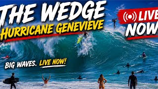 🔴 LIVE: THE WEDGE IS GOING OFF! Hurricane Genevieve Delivers Massive Surf