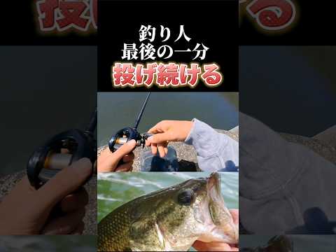 [バス釣り]最後まで投げ続けた結果。#つり#釣り#バス釣り#バス#fishing#fish#バスフィッシング#アウトドア#魚釣り#ブラックバス#bassfishing#川釣り#short#shorts