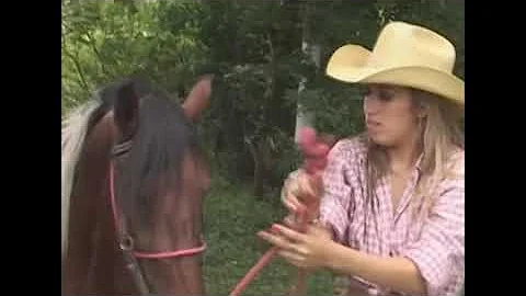 Natalia Lemos na Fazenda
