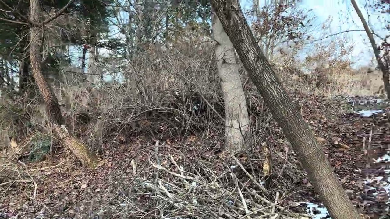 눈 덮인 윤순재