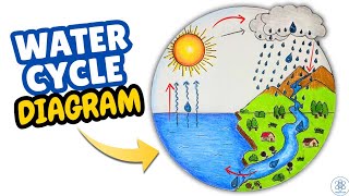 Water Cycle Diagram Drawing Easy | Step by Step Water Cycle Diagram