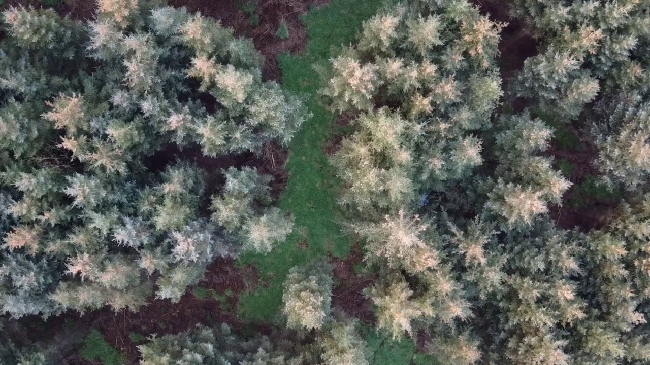 Castlemahon Mountain, Ballyculter, County Down - YouTube