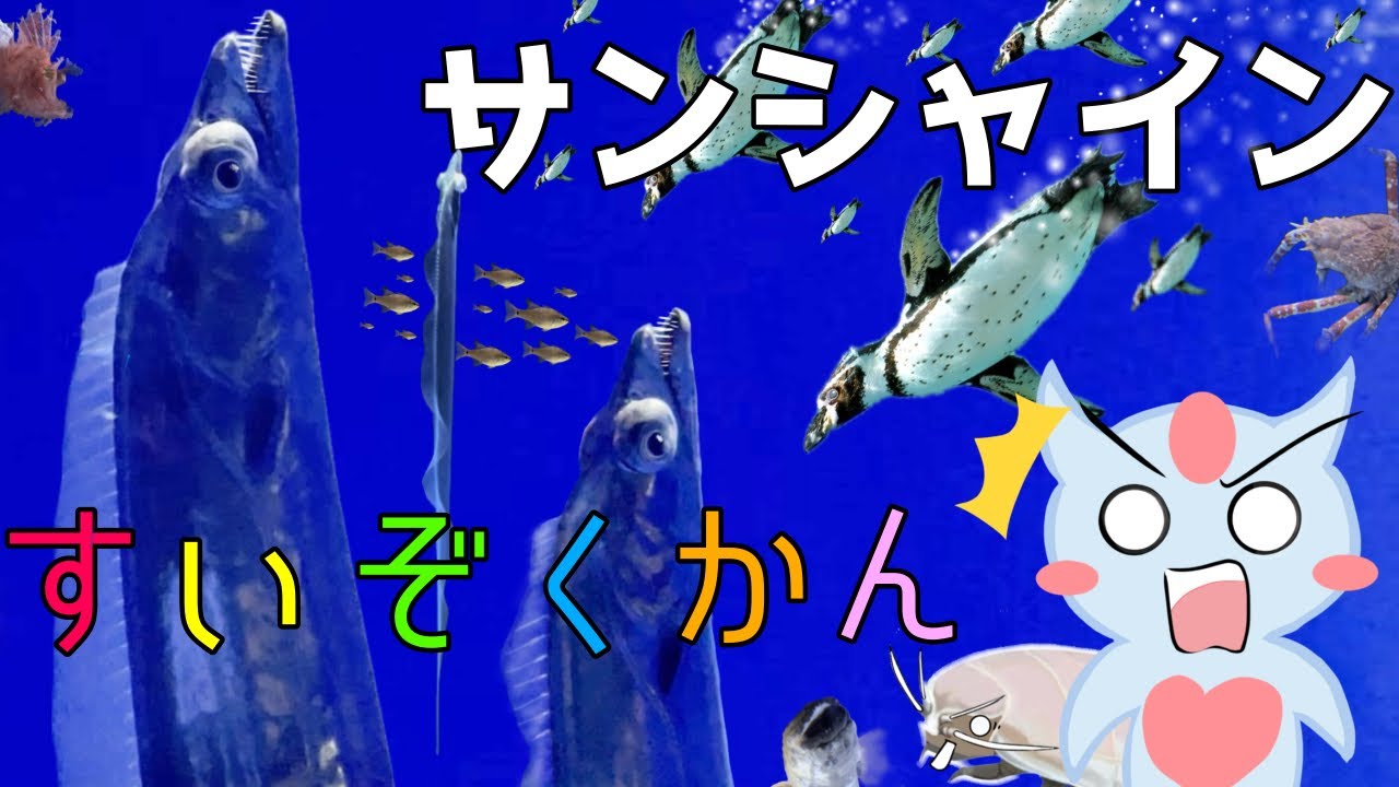 【魚クイズ】サンシャイン水族館