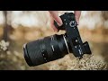 Tamron 17-70mm f2.8 Budget Zoom for Sony Crop Frame | A6600