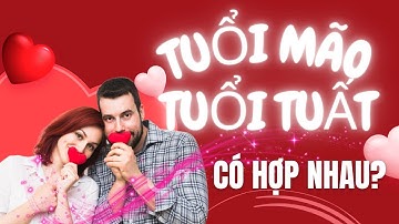 Tuổi Mão và tuổi Tuất kết hôn có hợp nhau?