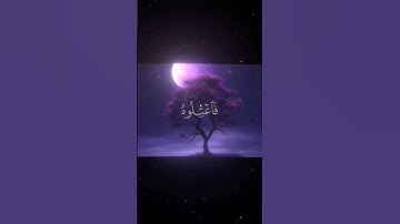 #سورة_الدخان | القارئ:#محمد_اللحيدان ||#quran #المصحف #القرآن_الكريم #تلاوة_خاشعة #تلاوة_هادئة.