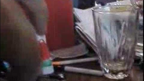 T-rex 450 XL crash results