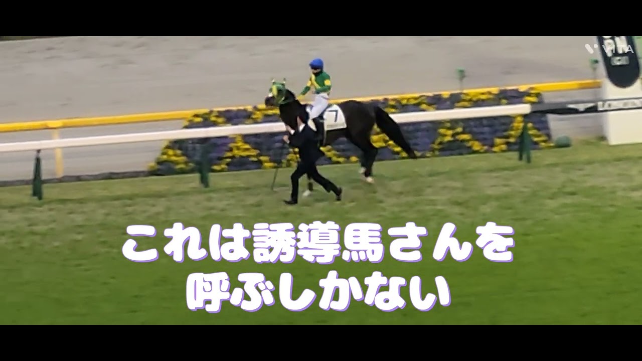 【誘導馬の役割り】暴れるアスキステソーロ(牡4)と誘導馬さん