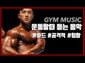 운동할때 듣는음악 힙합 헬스음악 하드한음악 운동힙합 모티베이션음악 gymmusic