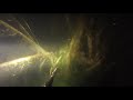 Подводная охота - Болото с линями