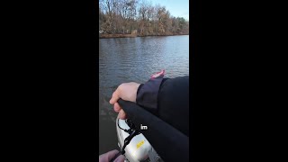 Grosse Barsche angeln im Herbst/Winter mit dem THOR Hardbait #jaeger #fishing #angeln #perch