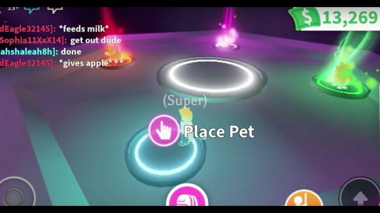 Neon Shiba Inu Neon Pets Update Youtube
