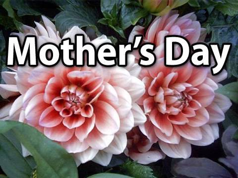 Mother's Day - The Best Holiday Of The Year?