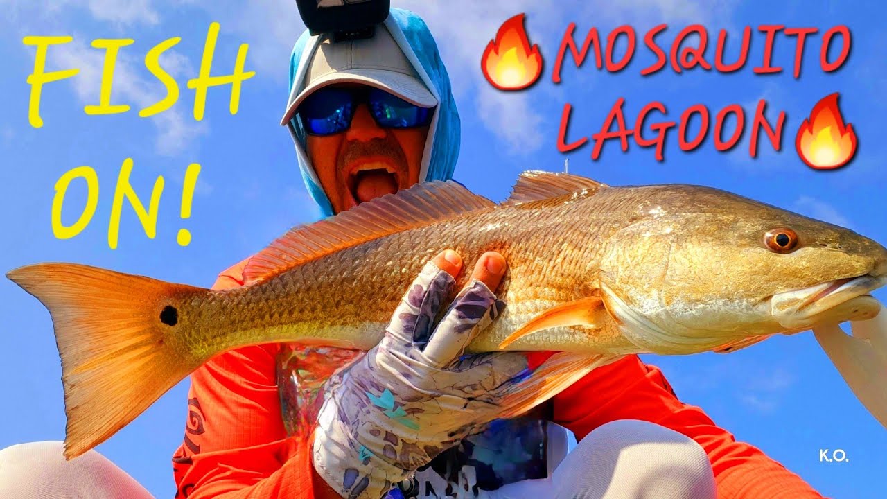 Best Way To Catch Redfish, Snook, Trout At Mosquito Lagoon! (Saltwater