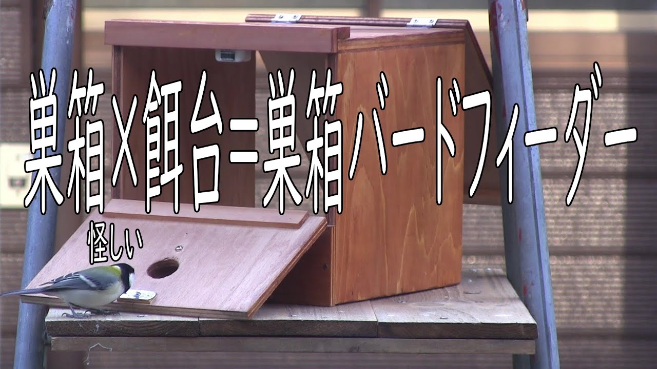 巣箱×餌台＝巣箱バードフィーダー初日 【DIY】 - YouTube