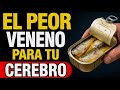 Neurólogo Advierte: EI VENENO en tu cocina Que Mata Tus Neuronas Cada Día