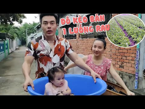 DÔ KÈO BÁN RAU SẠCH TRANH THỦ CHO BÉ NGỌC REVIEW VƯỜN CHỖ Ở MỚI