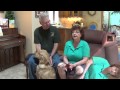Crazy to Calm: A Sit Means Sit Story Crazy to Calm: A Sit Means Sit Story