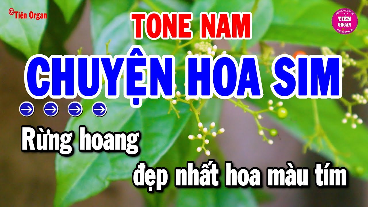 Chuyện Hoa Sim Karaoke Tone Nam - Rumba Chất Lượng Cao | Tiên Organ