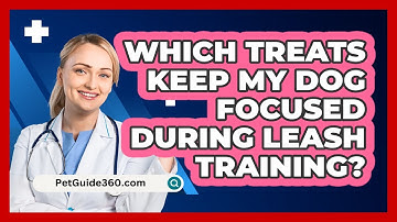 Which Treats Keep My Dog Focused During Leash Training? - PetGuide360.com