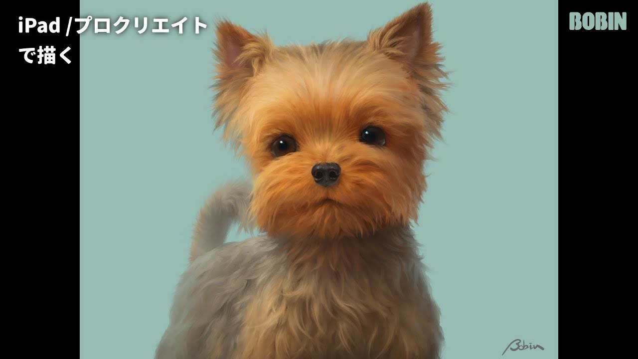 プロクリエイト Ipad Pro ヨークシャー テリアを描く デジタルイラスト Youtube