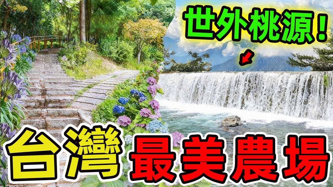臺灣最著名的十大農場，清境只排第二、第一名竟是隱藏在深山的世外桃源，每年吸引無數遊客朝聖。|世界風向標 #世界之最 #出類拔萃 #腦洞大開 #top10 #台灣 #農場