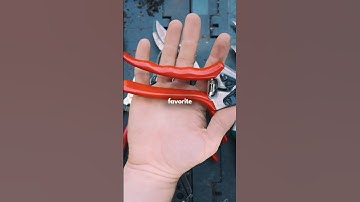 Choosing the Best Pruners and Snips