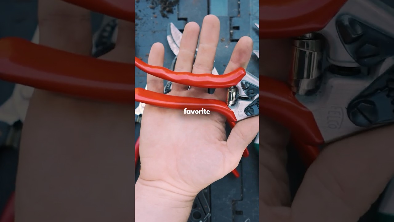 Choosing the Best Pruners and Snips