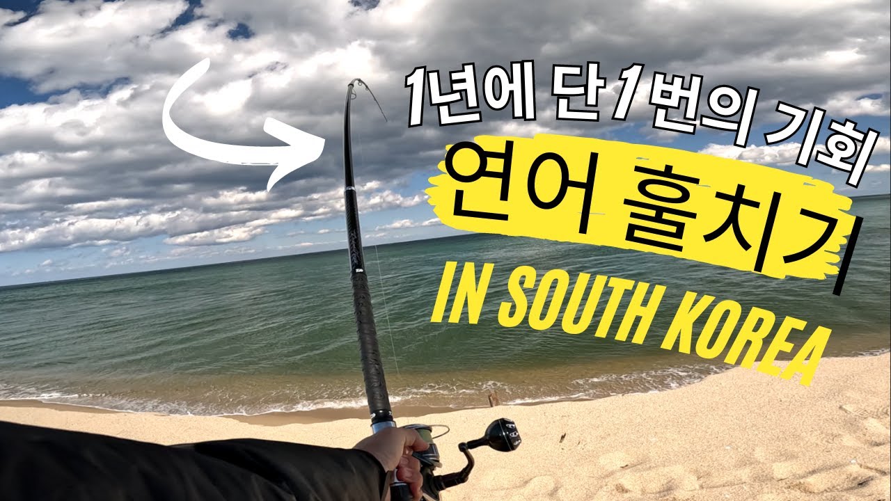 1년에단한번의 기회 Snag Fishing Salmon in South Korea (연어 훌치기) YouTube