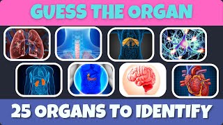 Take The Challenge Guess The Organ From Its Image