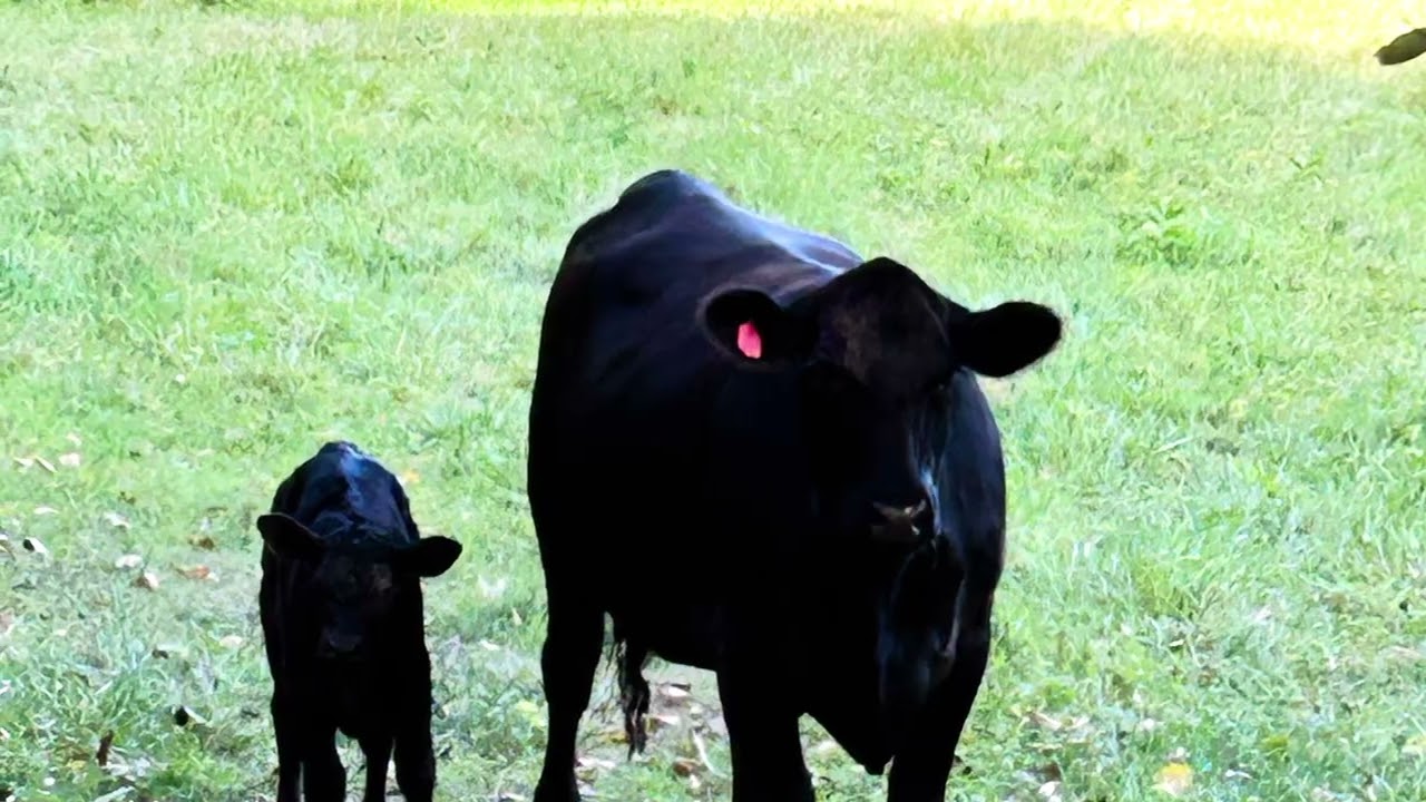 Gods country by Blake Shelton.