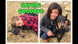 SAYING GOODBYE TO OUR DOG