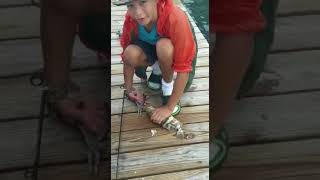 A Day On The Nyc Docks - Nassau, Bahamas