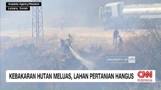 Kebakaran Hutan Meluas, Ribuan Hektare Lahan Pertanian di Suriah Hangus