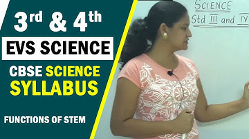 3rd & 4th EVS Science | CBSE Science Syllabus | Functions of Stem