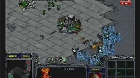 MSL FInals: Jaedong vs Flash G1P2