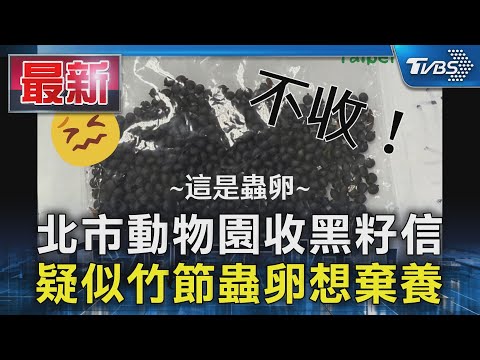 北市動物園收黑籽信疑似竹節蟲卵想棄養｜TVBS新聞‪@TVBSNEWS01‬ - YouTube
