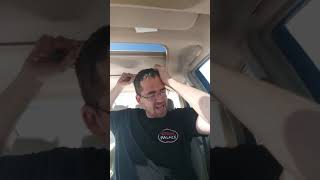Animal Mints Strain review