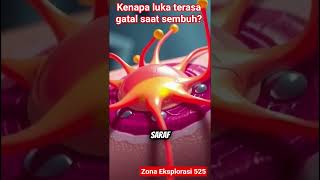 Kenapa Luka Terasa Gatal Saat Sembuh