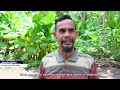 My Health, My Right - Joao dos Santos from Timor-Leste