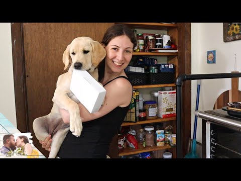 Organize With Me | Pantry Cupboards and Closet Wardrobe