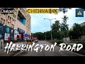 Chennai 4k  harrington road  chetpet  one of the greenest roads in chennai