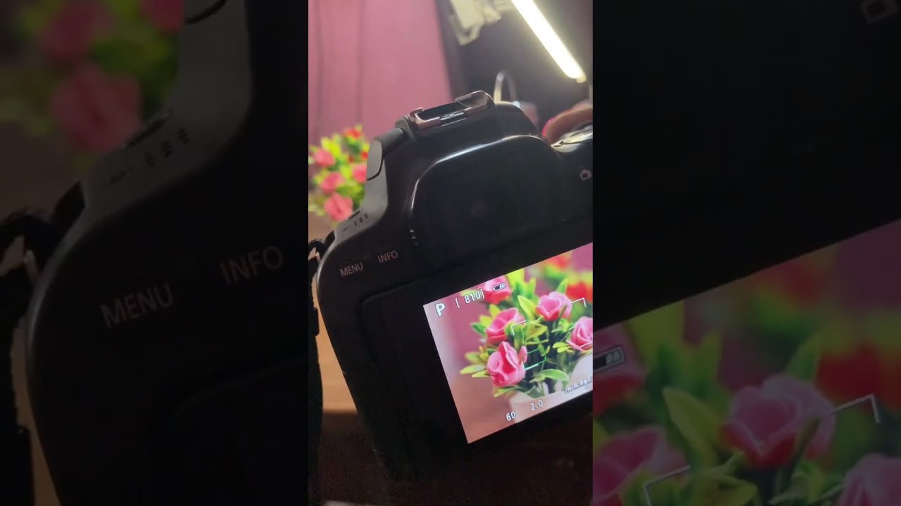 Canon 3000D Photography Test | Canon DSLR Camera Review 2025