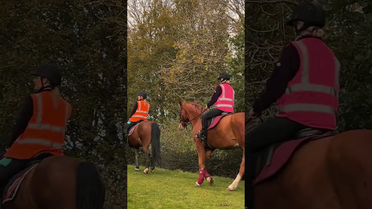Hacking with my Pony & Friends 