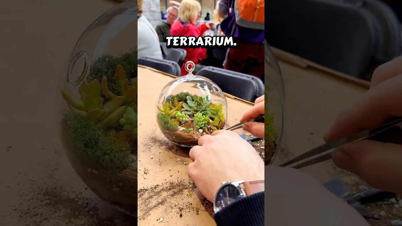 #terrariumsetup