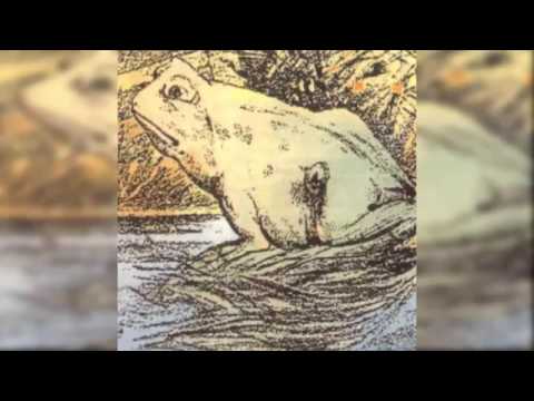 10 საინტერესო ოპტიკური ილუზია №3  OPTICAL ILLUSION