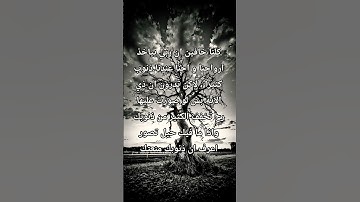 #القرآن_الكريم #ترند #راحة_نفسية #تلاوة_خاشعة #اكسبلور #تلاوات_خاشعة #تلاوة_خاشعة_تلاوة_هادئة_تلاوة
