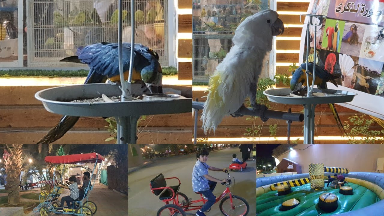 مزرعة أرياف طيبة المدينة 2021